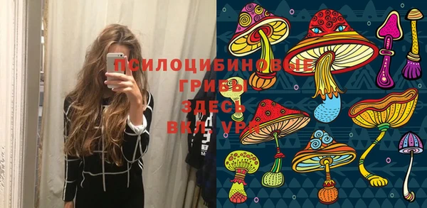 не бодяженный Магадан