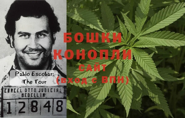 трава Долгопрудный